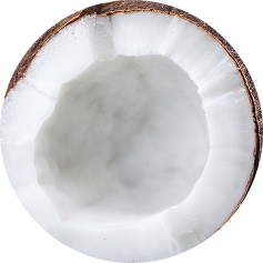 organic coconut aminos