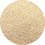 yeast