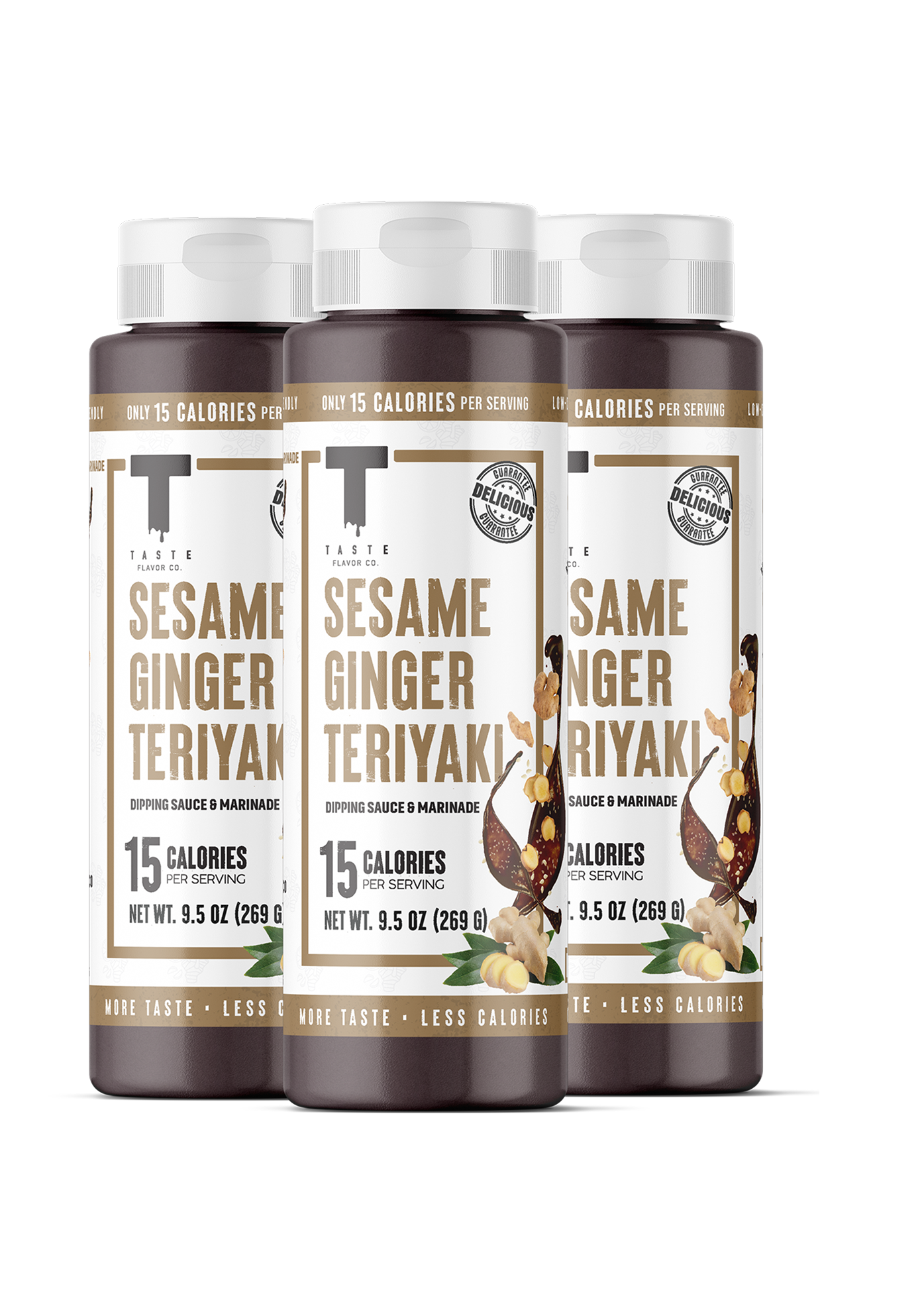 New! Sesame Ginger Teriyaki