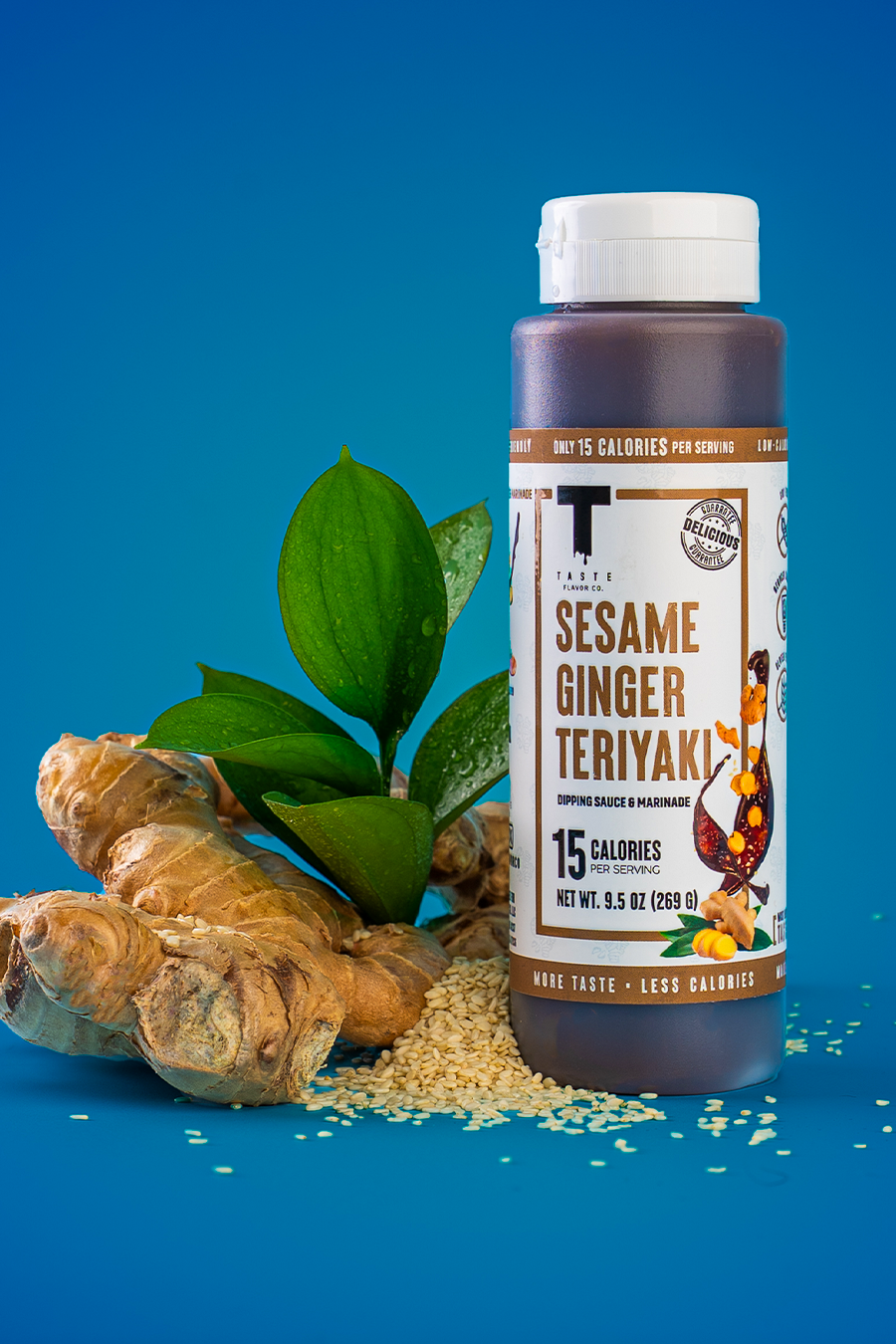 New! Sesame Ginger Teriyaki