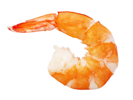 seafood